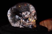 skull.jpg