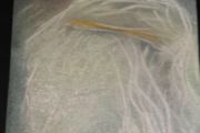 20131206_073322.jpg