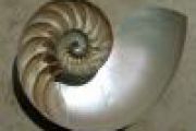 spiral.jpg